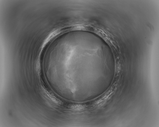 X0000111480198200907141224