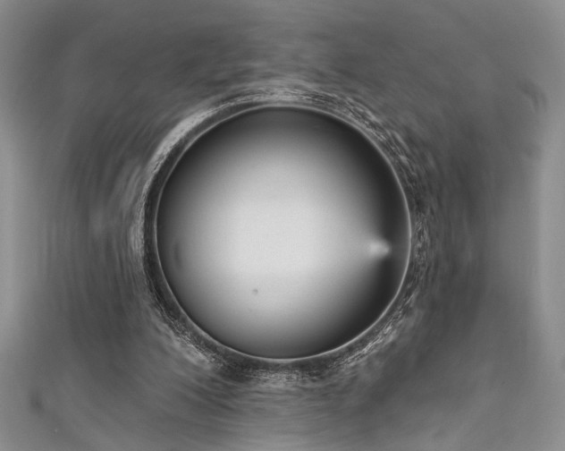 X0000111480200200907141224