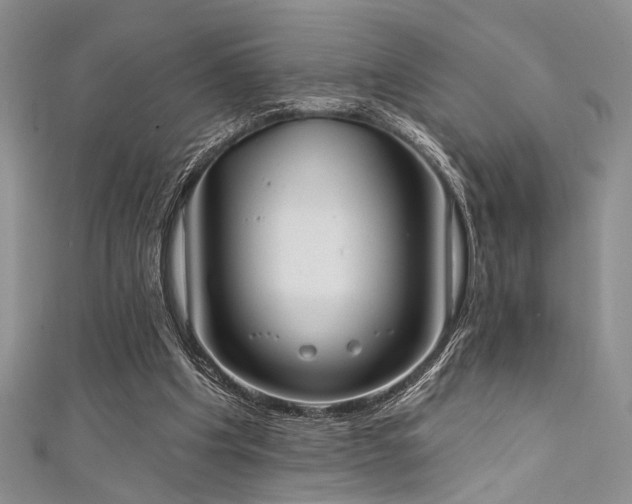 X0000111480201200907141224