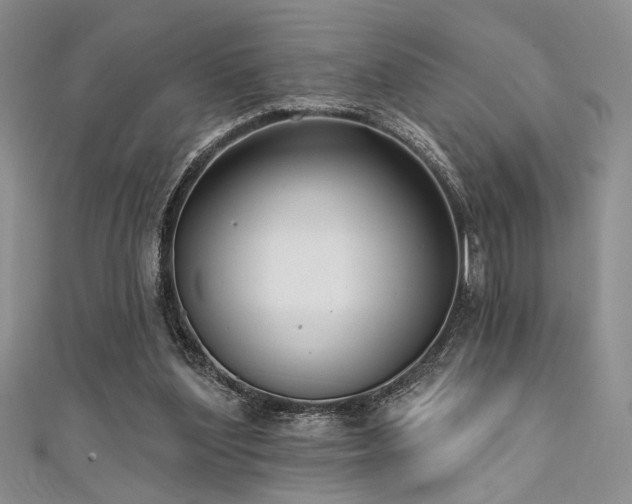 X0000111480204200907141224