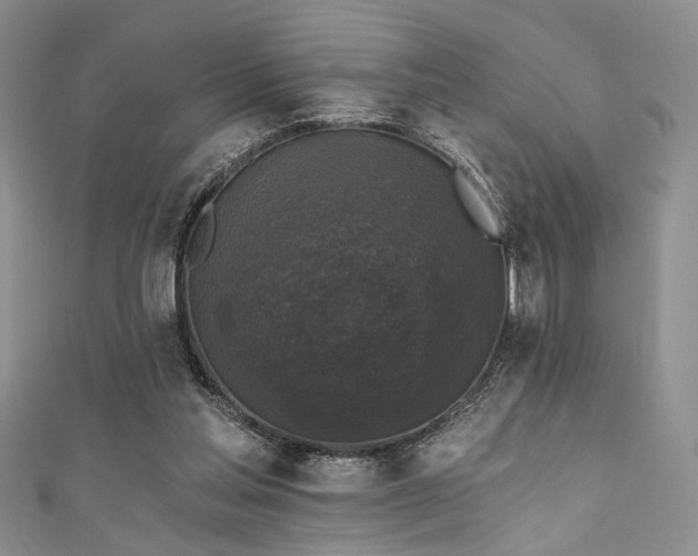 X0000111480205200907141224