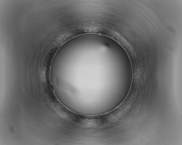 X0000111480209200907141224
