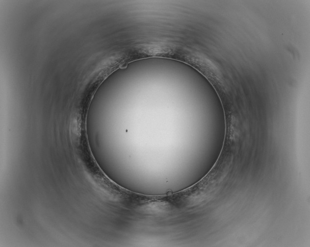 X0000111480210200907141224