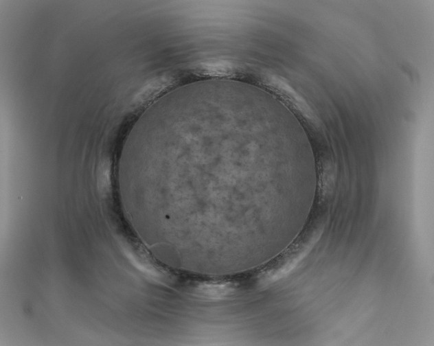X0000111480213200907141224