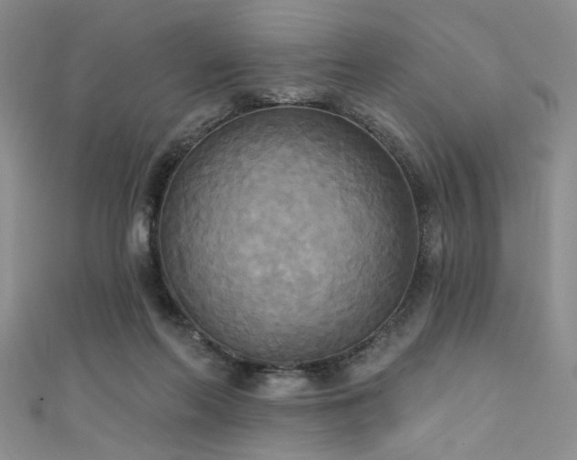 X0000111480214200907141224