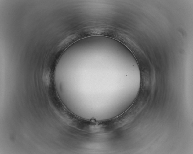 X0000111480216200907141224