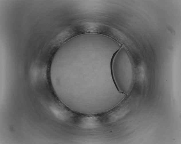 X0000111480217200907141224