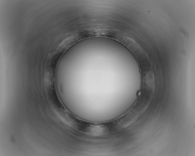 X0000111480218200907141224
