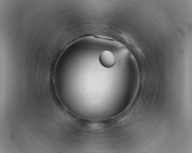 X0000111480221200907141224