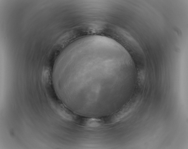 X0000111480222200907141224