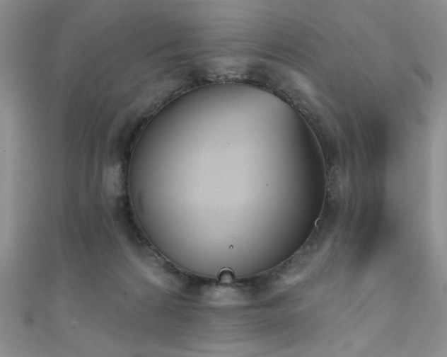 X0000111480224200907141224