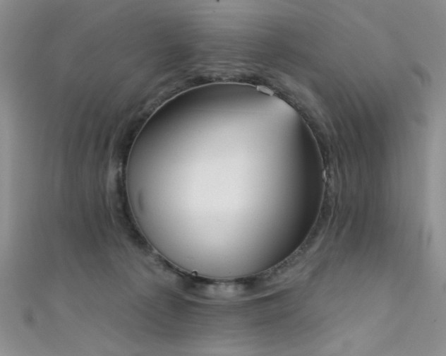 X0000111480225200907141224