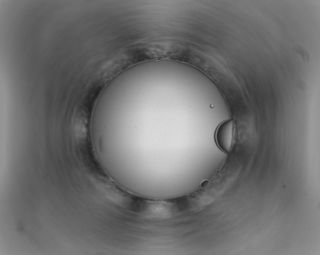 X0000111480226200907141224