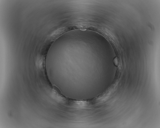 X0000111480233200907141224