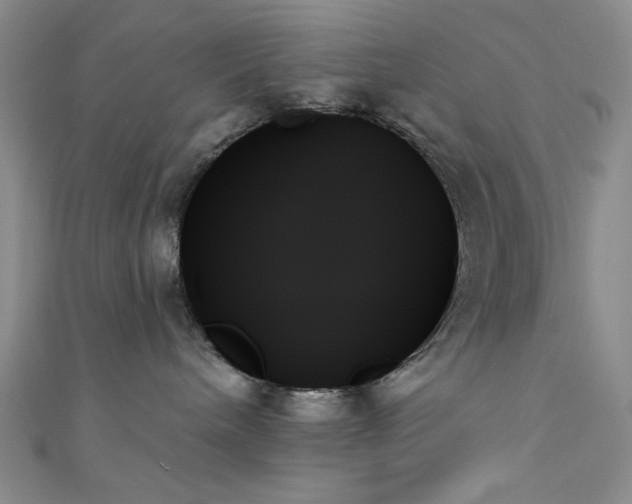 X0000111480240200907141224