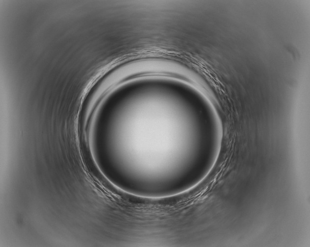 X0000111480244200907141223