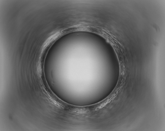 X0000111480245200907141223