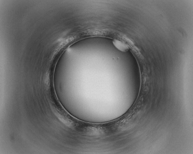 X0000111480250200907141223