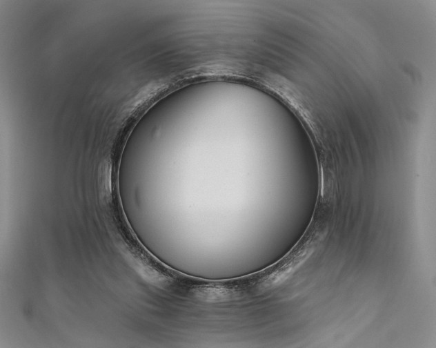 X0000111480253200907141223