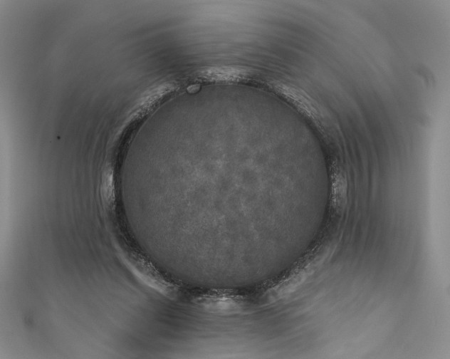 X0000111480254200907141223