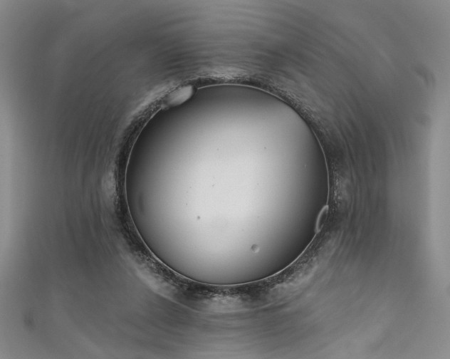 X0000111480256200907141223