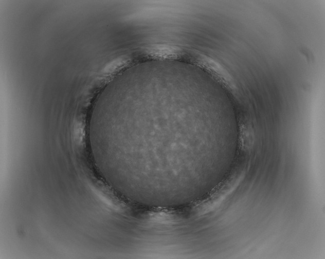 X0000111480259200907141223