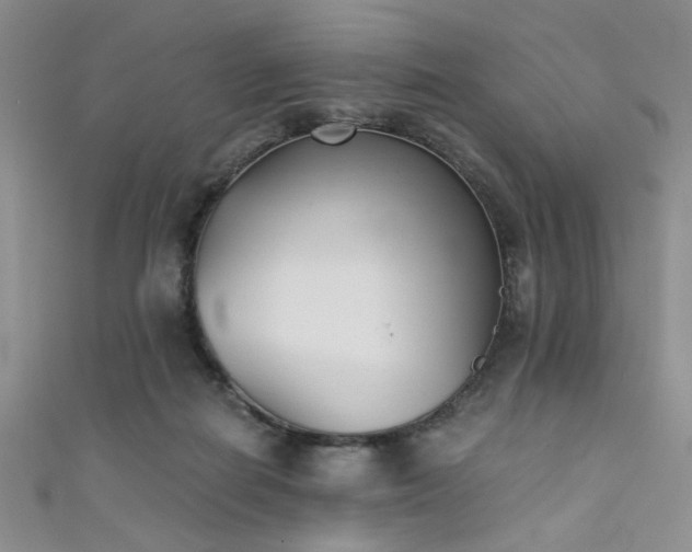 X0000111480266200907141223