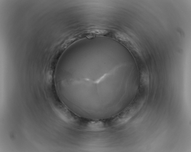 X0000111480271200907141224
