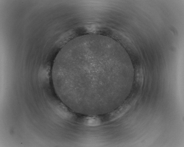 X0000111480275200907141224