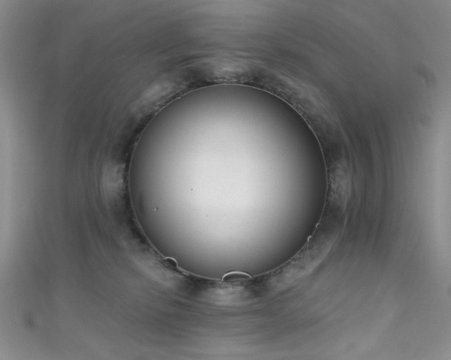 X0000111480278200907141224