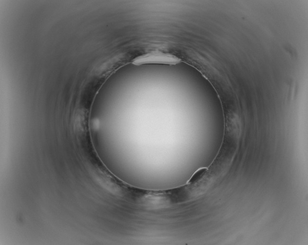 X0000111480280200907141224