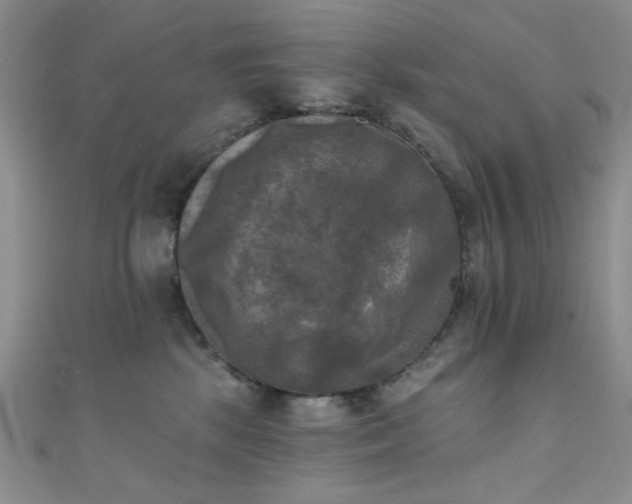 X0000111480281200907141224
