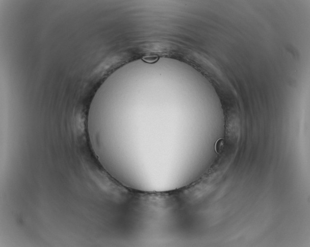 X0000111480282200907141224