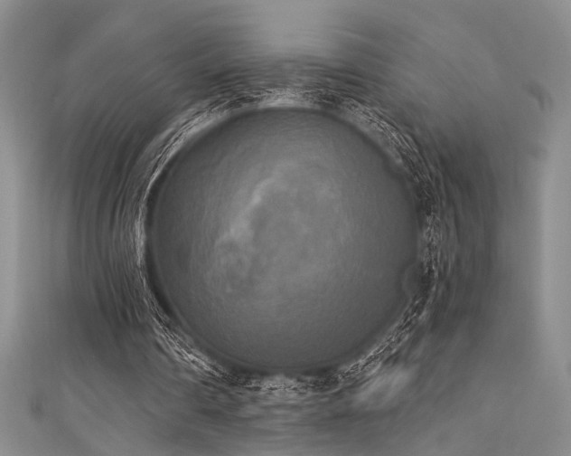 X0000111480290200907141223