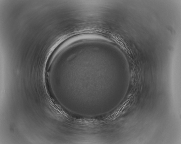 X0000111480292200907141223