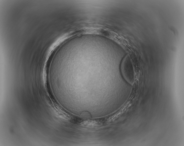X0000111480294200907141223