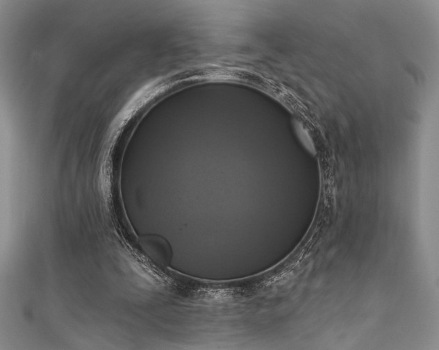 X0000111480295200907141223