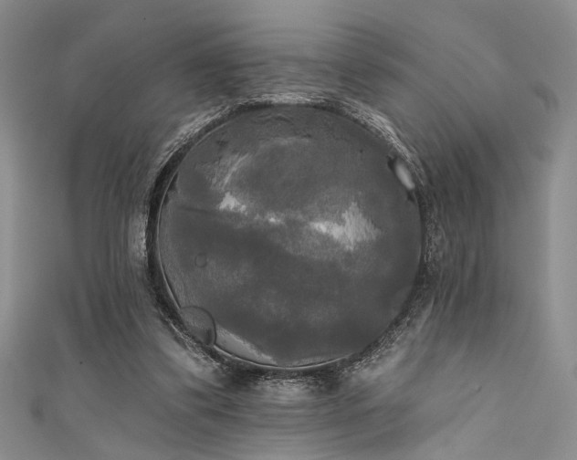 X0000111480299200907141223