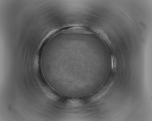 X0000111480300200907141223