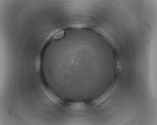 X0000111480304200907141223