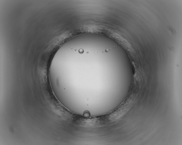X0000111480306200907141223