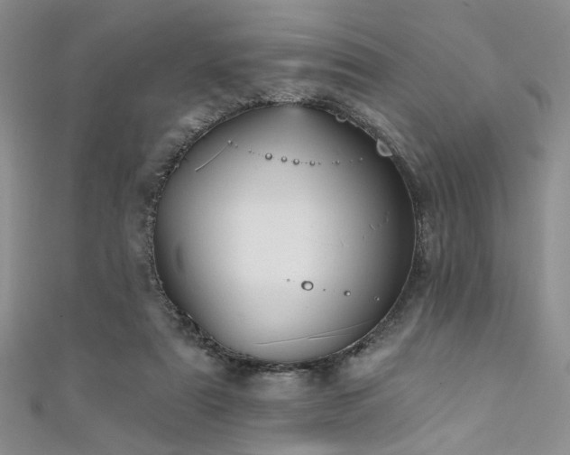 X0000111480307200907141223