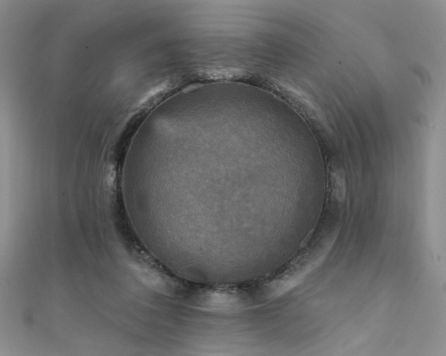 X0000111480308200907141223