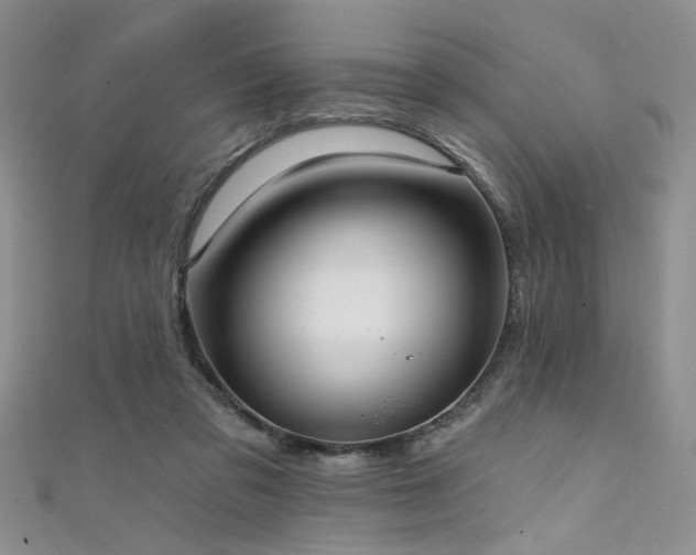 X0000111480309200907141223
