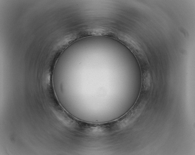 X0000111480310200907141223