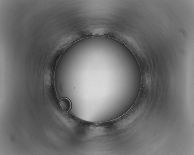 X0000111480311200907141223
