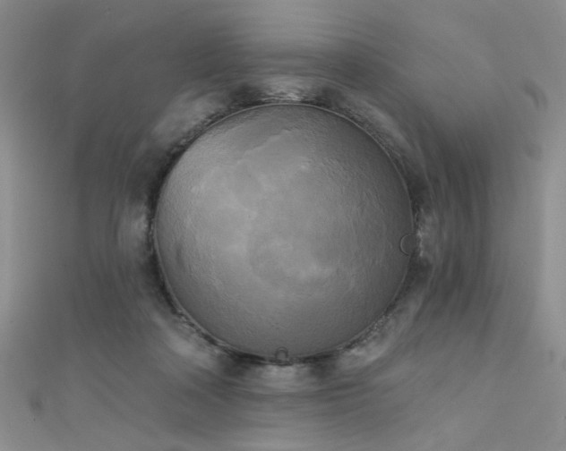 X0000111480314200907141223