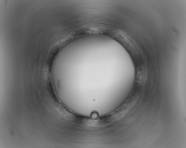 X0000111480318200907141223