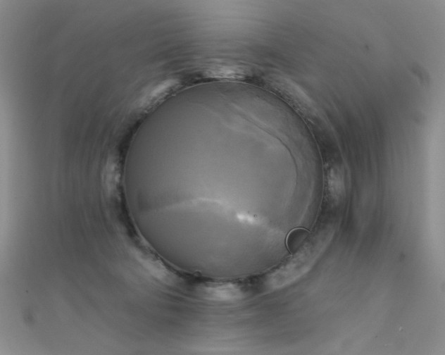 X0000111480322200907141223