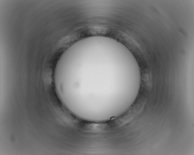 X0000111480323200907141223